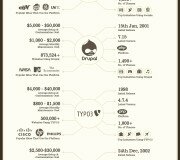 Content Management System (CMS) - Infografía