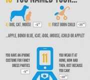 Apple fan - Infografia