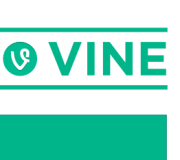 Infografia de Vine